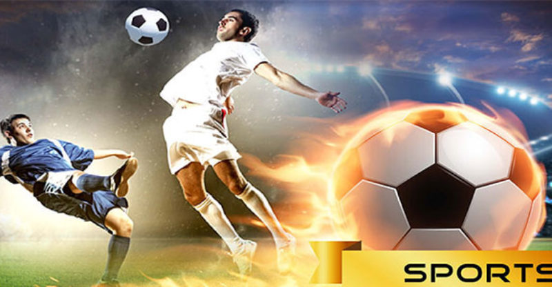 gambling sbobet